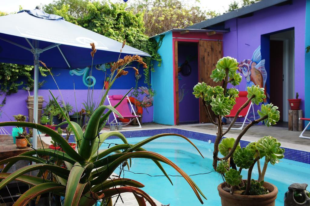 Cape Agulhas Backpackers Vandrerhjem Struisbaai Rom bilde