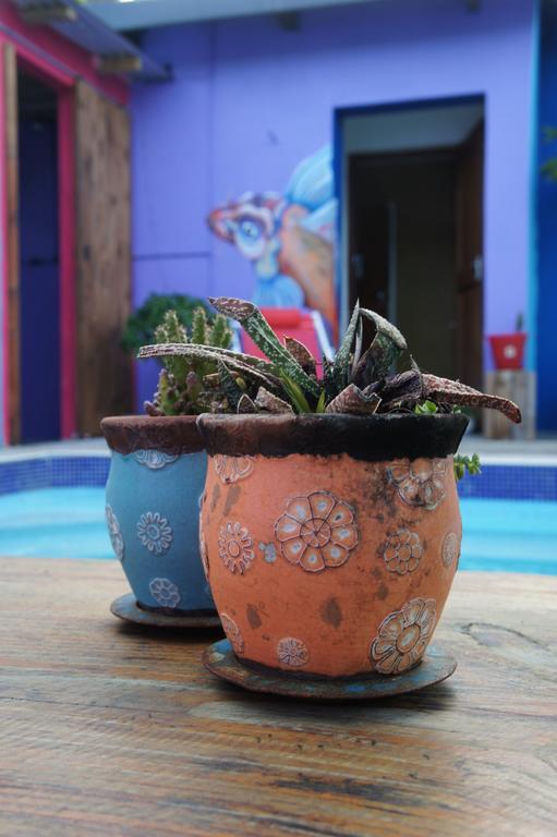 Cape Agulhas Backpackers Vandrerhjem Struisbaai Rom bilde